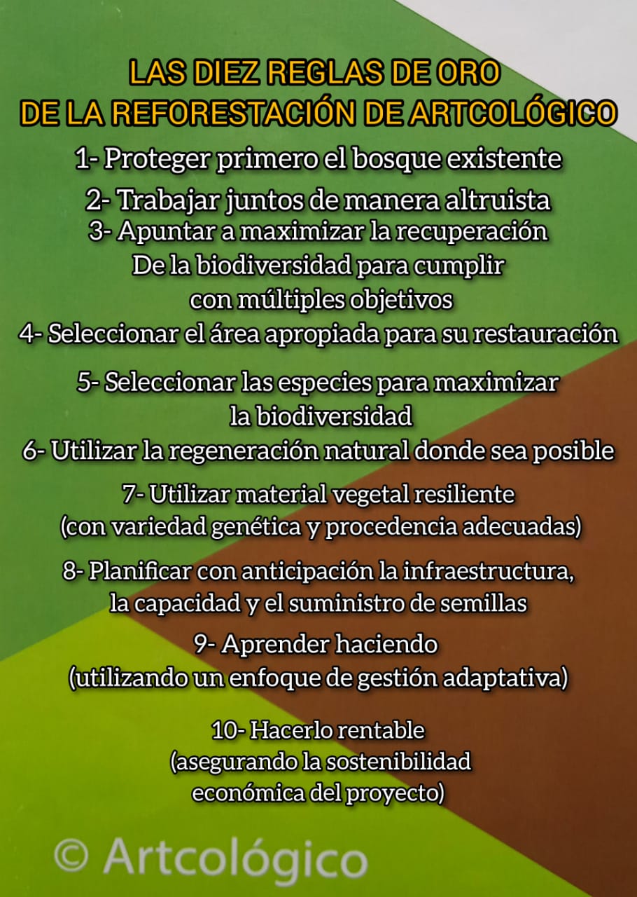 Colores Artcologico